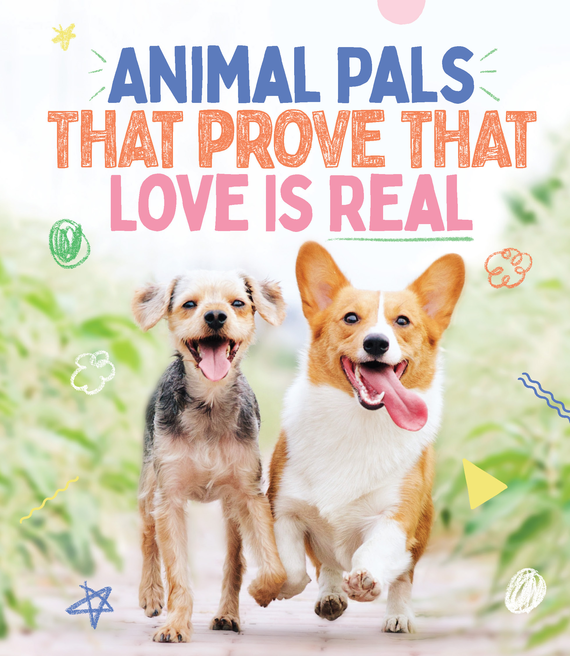 Animal Pals That Prove That Love Is Real – Smith Street Books Animal Pals That Prove That Love Is Real – Smith Street Books